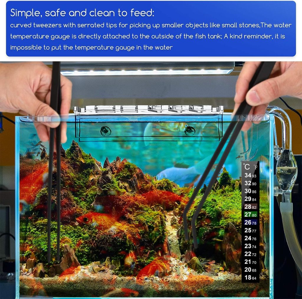 6 Pieces Coral Feeder Set 30 cm and 35 cm Long Acrylic Marine Fish Reef Feeding Tube and Stainless Steel Straight and Curved Tweezers with Tool Holder and Aquarium Thermometer Sticker for Aquarium Pet