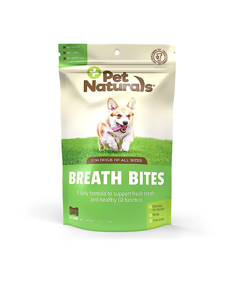 Best Dog Foods for Freshening Bad Breath