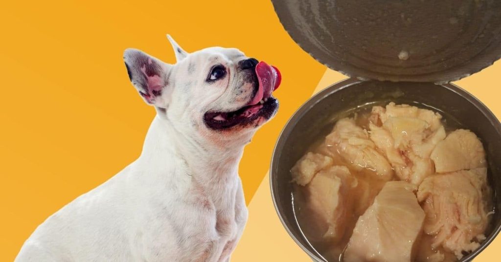 Can Dogs Eat Canned Chicken?