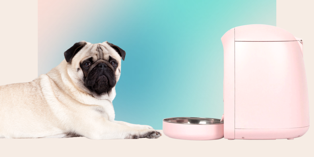 Convenient Automatic Dog Feeder for Kennel