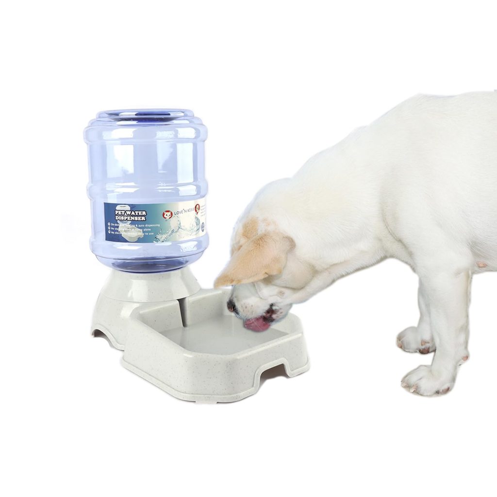 Convenient Solutions for Large Dog Automatic Feeding