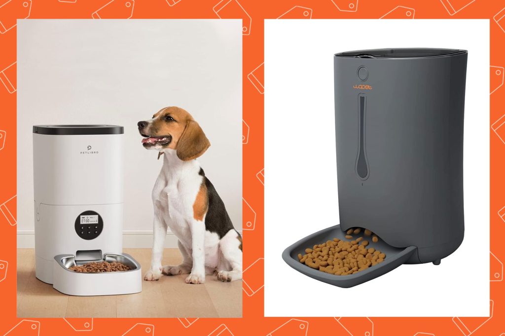 Convenient Solutions for Large Dog Automatic Feeding