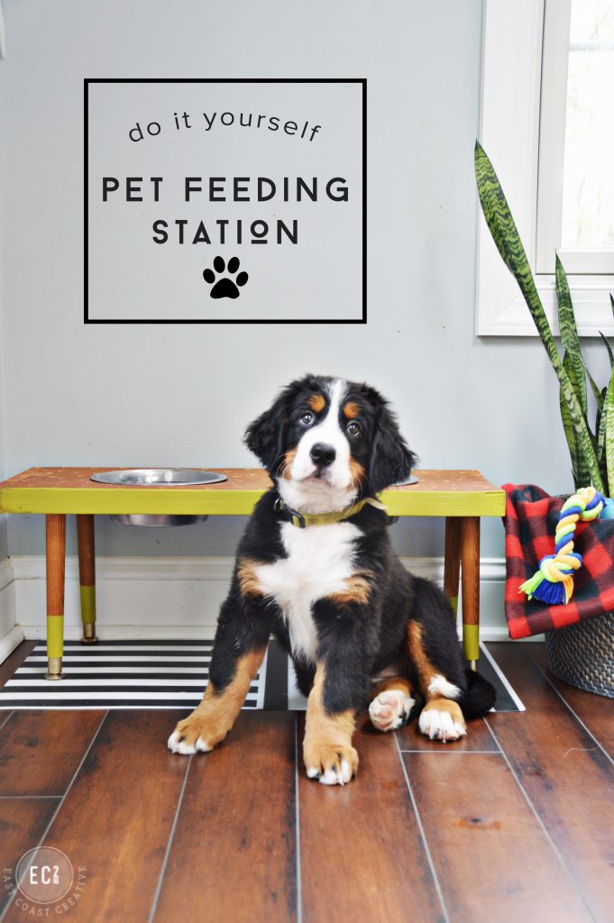 Creative DIY Dog Feeding Station Ideas