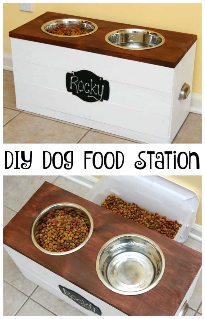 Creative Dog Feeding Station Ideas