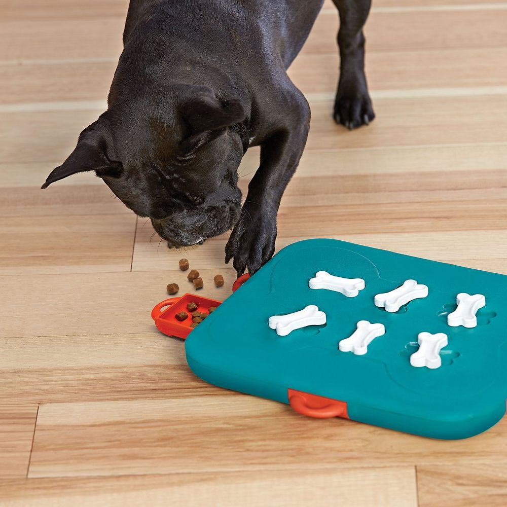 Engaging Puzzle Feeders for Dogs