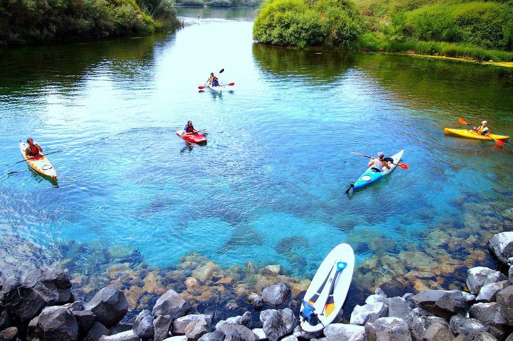 Exploring the Blue Heart Springs: A Guide to Kayak Rentals