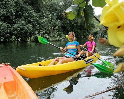 Exploring the Kayak Village: A Guide to the Ultimate Water Adventure