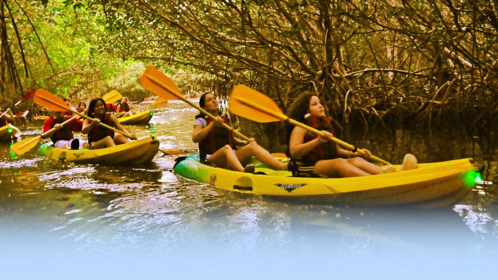 Exploring the Kayak Village: A Guide to the Ultimate Water Adventure