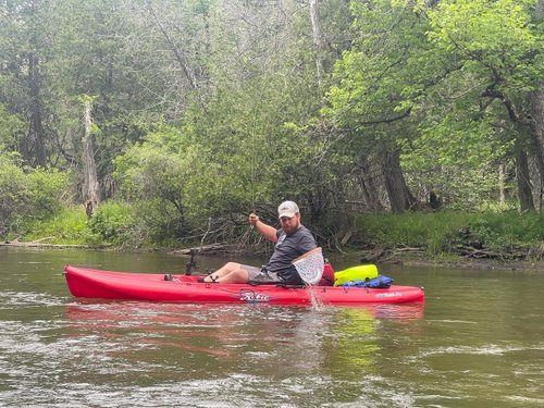 Exploring the Manistee River: A Guide to Kayaking Adventures