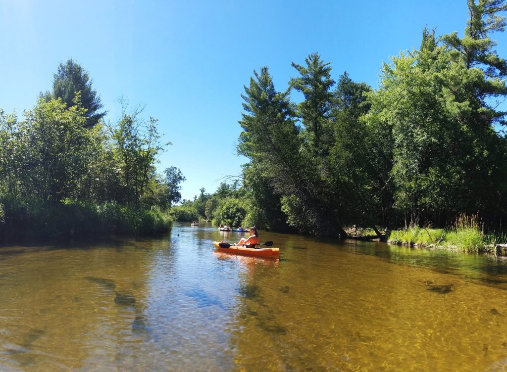 Exploring the Manistee River: A Guide to Kayaking Adventures