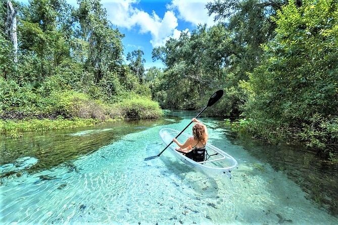 Exploring the Water: Kayak Adventure