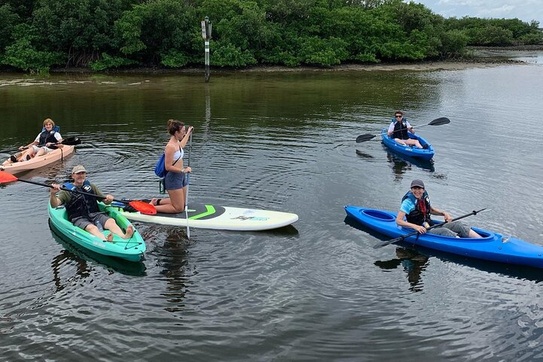 Exploring the Waters: Kayaking Adventures