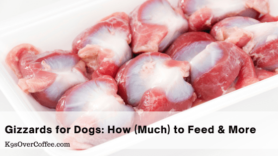 Feeding Chicken Gizzards to Dogs: Is It Safe Everyday?