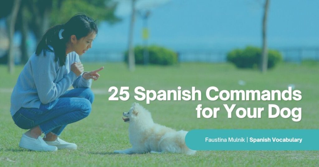 Feeding your Dog: A Guide to Spanish Commands