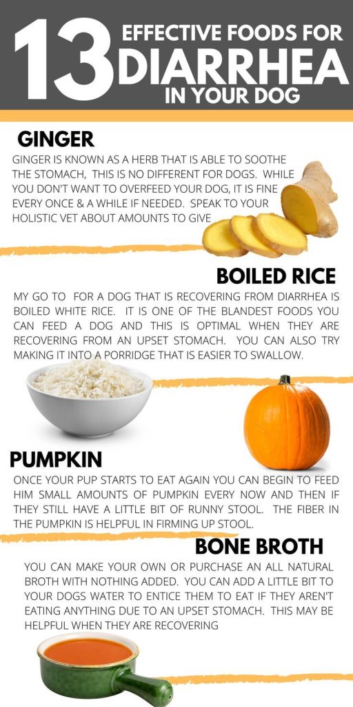How to Feed Sweet Potato to a Dog with Diarrhea