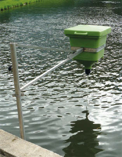 How to Use a Fish Pond Automatic Feeder