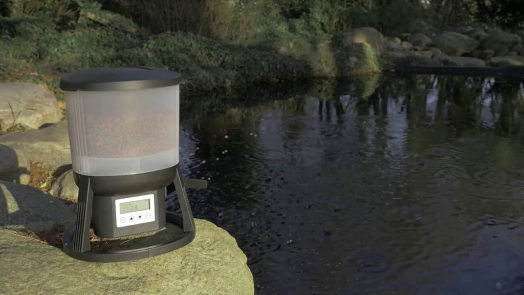 How to Use a Fish Pond Automatic Feeder