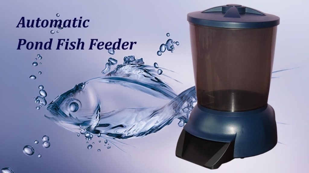How to Use an Automatic Fish Feeder for Your Pond