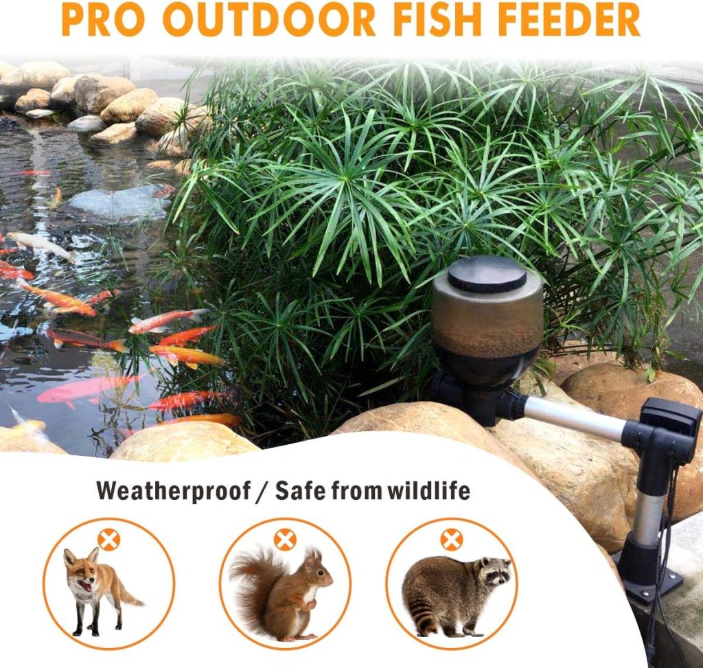 hygger Large Programmable Auto Pond Feeder with LCD Display Controller Automatic Fish Food Feeding Dispenser Outdoor Koi Fish Feeder 5.5 L Capacity