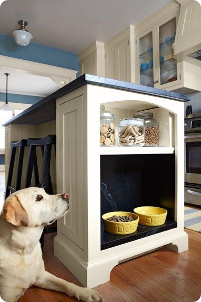 Innovative Dog Feeding Cabinet