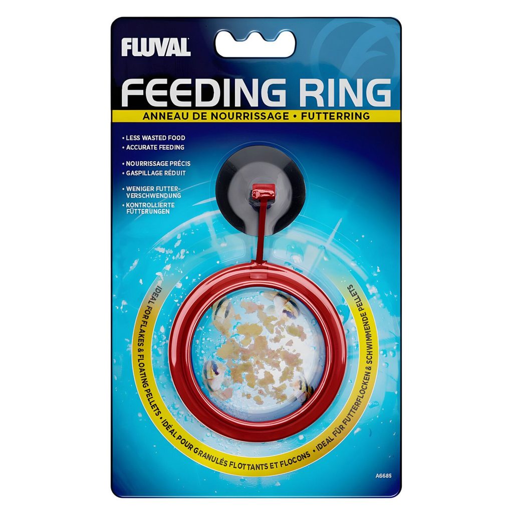 Innovative Fish Feeding Ring