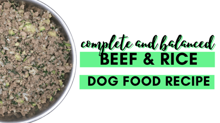 Is Ground Beef and Rice Safe for Daily Dog Diet?