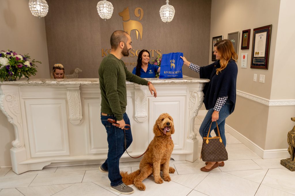Luxury Pet Lodge for your Furry Friend