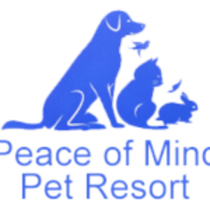 Peace of Mind Pet Boarding with Live Camera Feeds