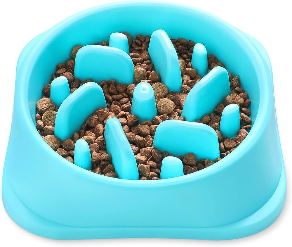 Slow Feed Dog Bowl: Promote Healthy Eating Habits for Your Pet