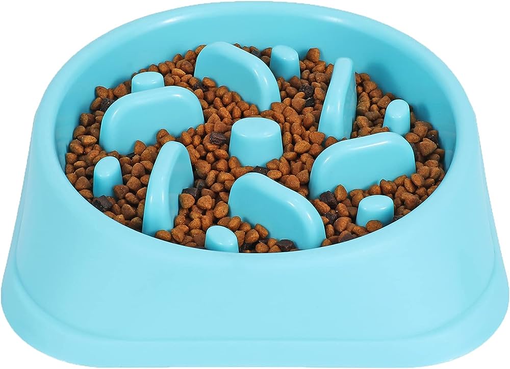 Slow Feed Dog Bowl: Promote Healthy Eating Habits for Your Pet