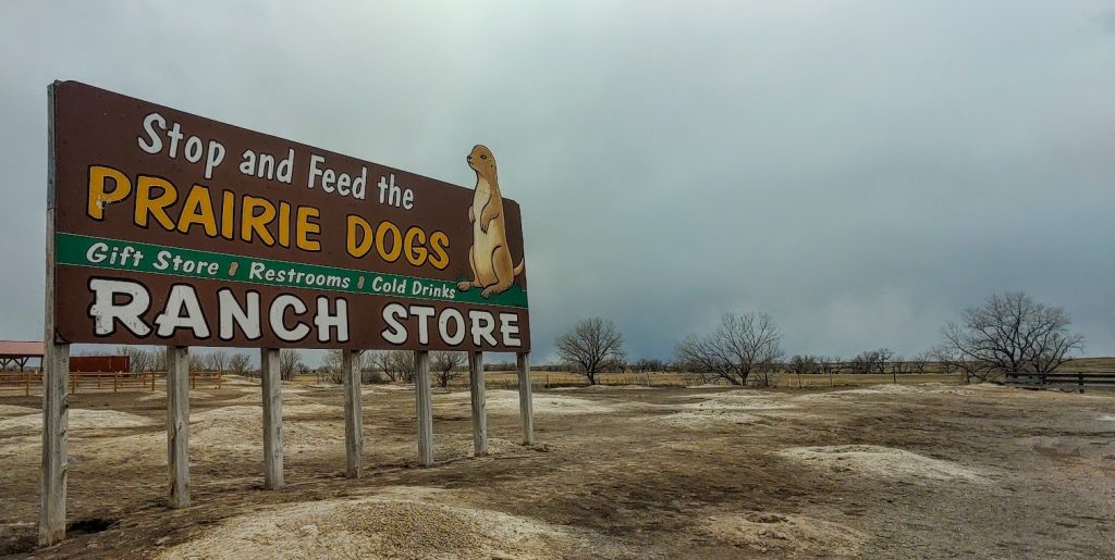 Stop and Feed the Prairie Dogs