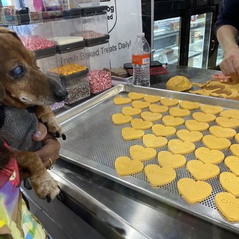 The Barking Dog Bakery: A Tempting Array of Treats