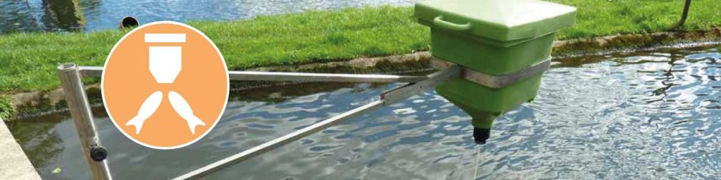 The Benefits of Using an Automatic Fish Feeder in Your Pond
