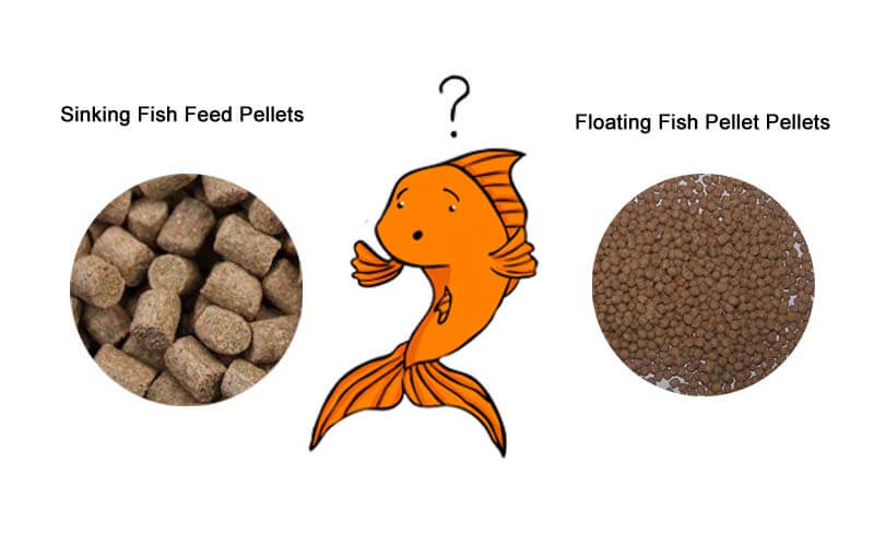 The Benefits of Using Floating Fish Feed for Aquaculture