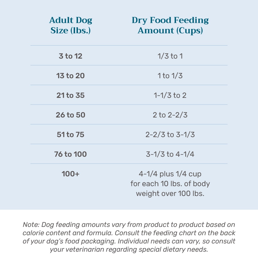 The Best Feeding Schedule for Dogs