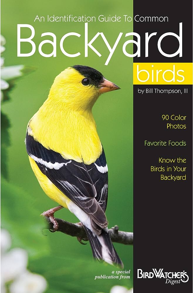 The Birdwatchers Guide: Spotting and Identifying Common Birds