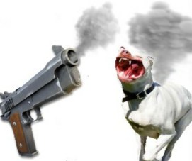 The Dangers of Feeding Dogs Gunpowder