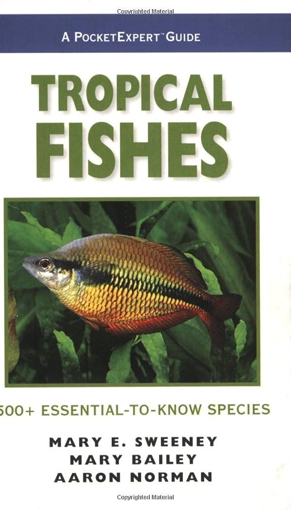 The Sweeneys Guide to Fish Feeding