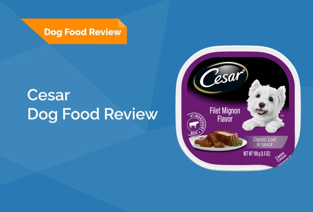 The Ultimate Cesar Dog Food Feeding Guide