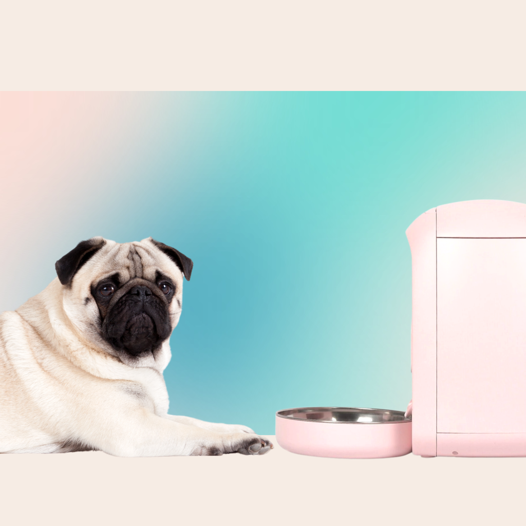 The Ultimate Guide to Choosing the Best Automatic Dog Feeder for Large Dogs