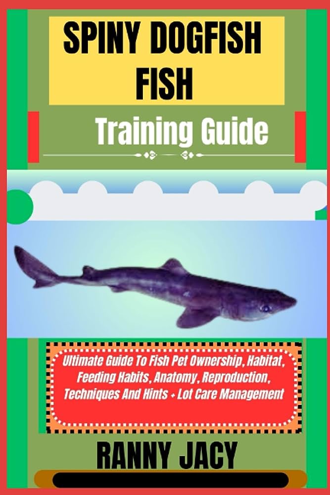 The Ultimate Guide to Fish Feeding