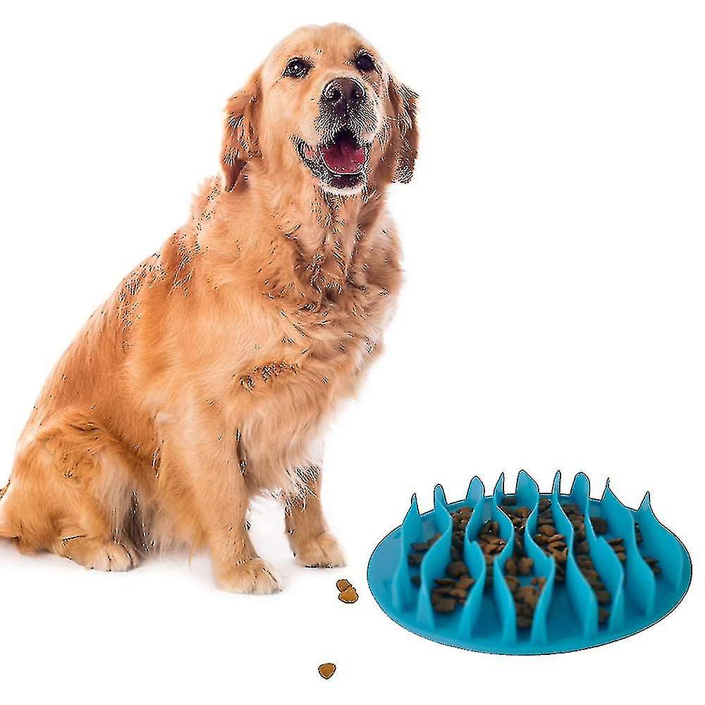 The Ultimate Interactive Dog Feeder