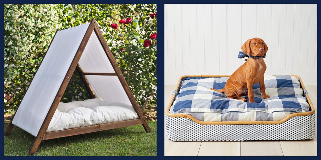 Top 10 Hollywood Inspired Dog Beds