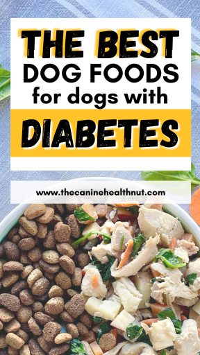 Top Diabetic Dog Food Options