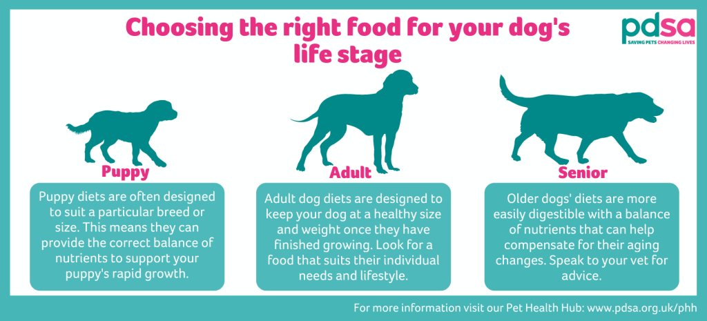 Top Tips for Feeding Your Dogs