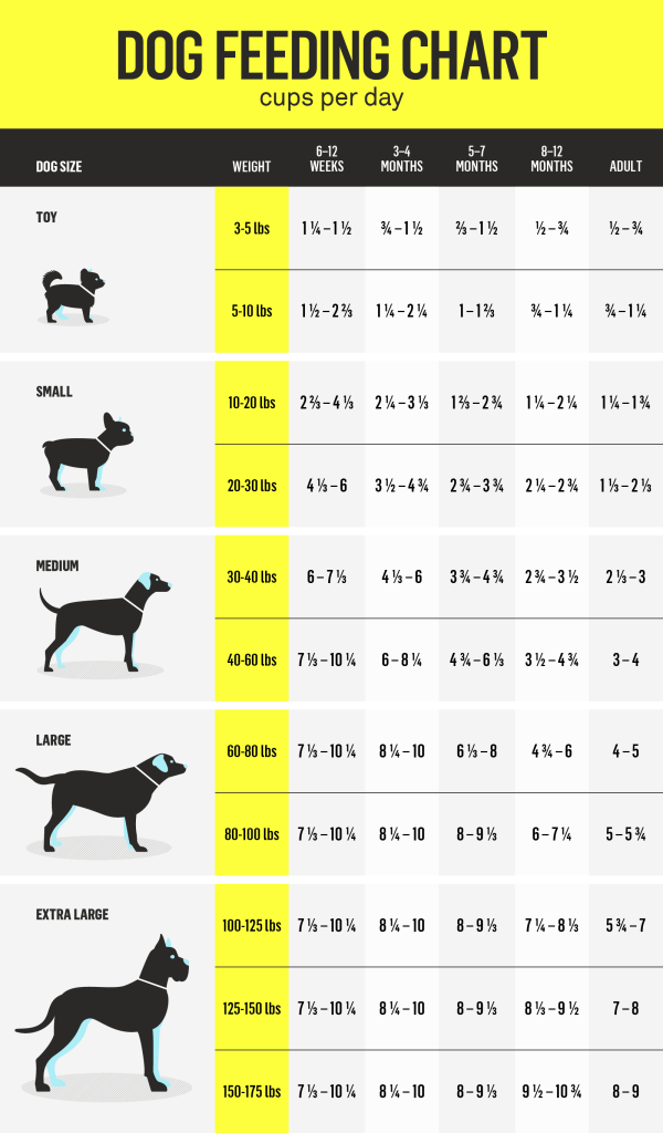 Understanding the Science behind the Dog Feeding Chart