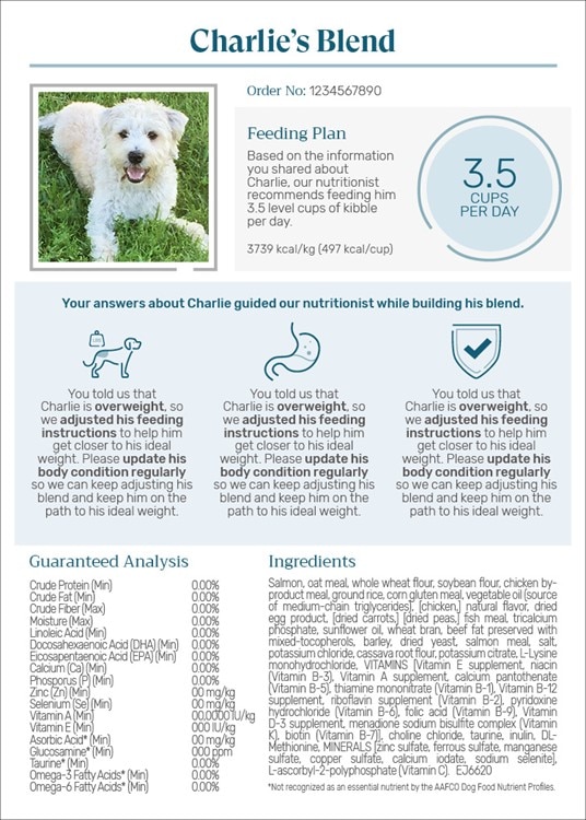 Understanding the Science behind the Dog Feeding Chart