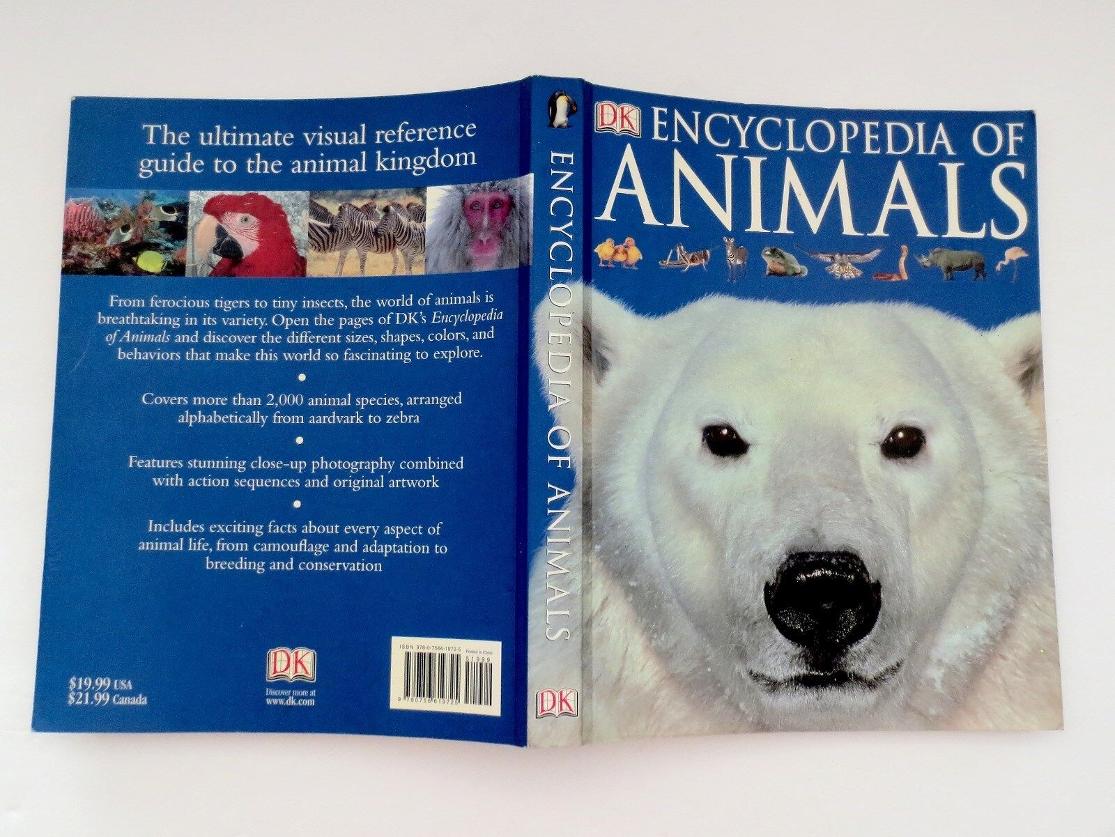 Animal Fact Guide: Exploring the Fascinating World of Animals