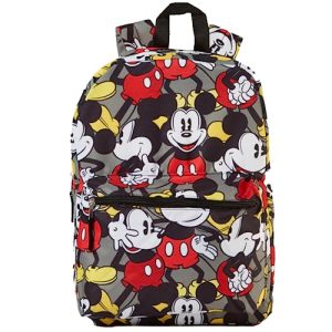 Best Backpack for Disney Trip