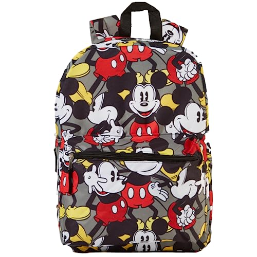 Best Backpack for Disney World